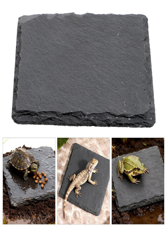 Alrhso Turtle Basking Platform Slate for Reptiles 3.9 X 3.9 Inch Tortoise Basking Stone for Reptiles Bearded Dragon Accessories for Lizards, Chameleons, Geckos, Turtles, Reptile - Image 4